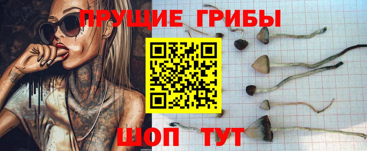 Мефедрон кристаллы  Новый Уренгой  Вход с VPN  Канабис  Мефедрон  ГАШИШ  Alpha-PVP СК кристаллы 