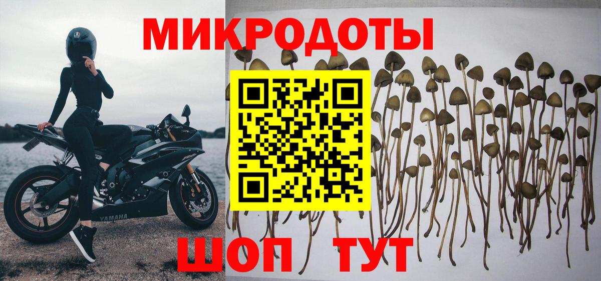 Псилоцибиновые грибы прущие грибы  Вход с VPN  Новый Уренгой 